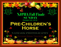 10/09/16 PRE-CHILDREN'S HORSE