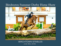 06/03/18 BIRCHTOWN SUMMER DERBY HORSE SHOW