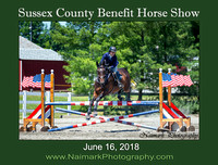 SUSSEX COUNTY BENEFIT HORSE SHOW #3 - June 16, 2018