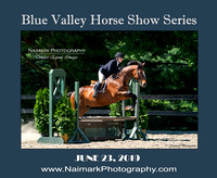 06/23/19 BLUE VALLEY HORSE SHOW