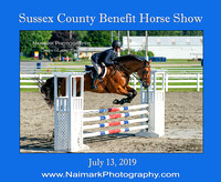 07/13/19 SUSSEX COUNTY BENEFIT HORSE SHOW #6