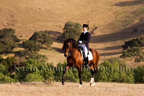 Dressage Rider on Bay Horse in California Mountains