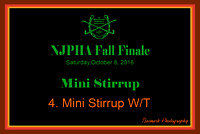 10/08/16 04. Mini Stirrup WT