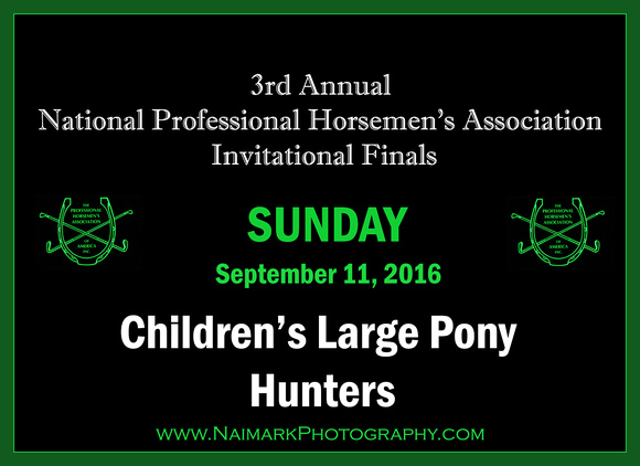 160911 NPHA NaimarkPhoto Sun Children's Large Pony Hunters