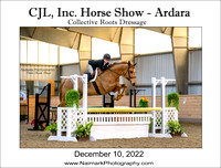 12-10-22 CJL Horse Show @ Ardara (aka CRD)