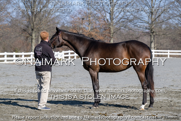 240304-092505 HPNJ 3457C NaimarkPhoto