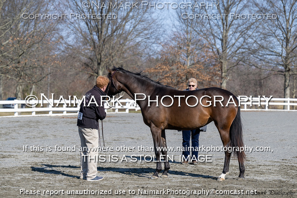 240304-093650 HPNJ 3545C NaimarkPhoto