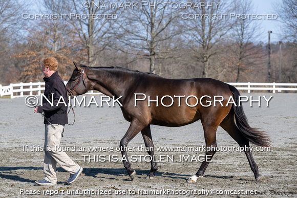 240304-093848 HPNJ 3561C NaimarkPhoto