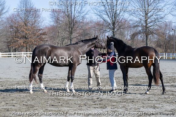 240304-092331 HPNJ 3452C NaimarkPhoto