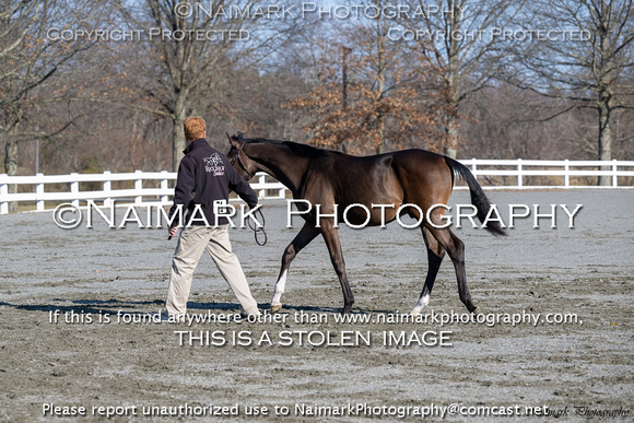 240304-090809 HPNJ 3408C NaimarkPhoto