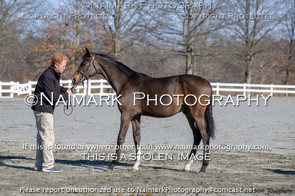 240304-093107 HPNJ 3493C NaimarkPhoto