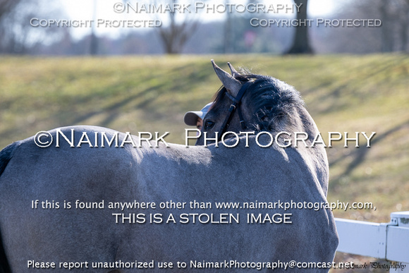 240304-090423 HPNJ 3376C NaimarkPhoto