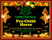 PRE-CHILD HORSE