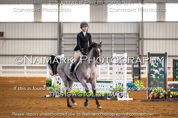 230305-155244 HPNJ 4595K NaimarkPhoto