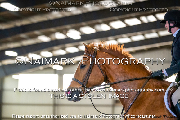 230305-115001 HPNJ 4208K NaimarkPhoto