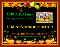 10/3/15 01. Mini Stirrup Hunter