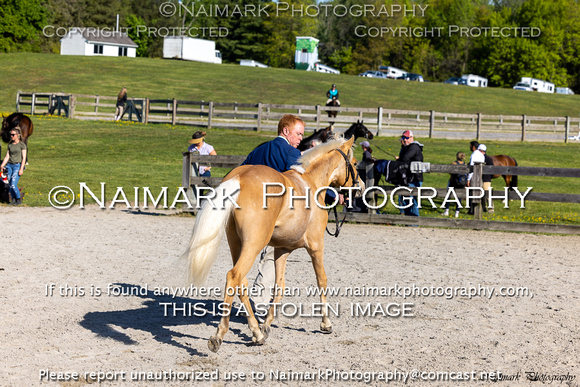 230507-084131 LUDWIGS 2628B NaimarkPhoto