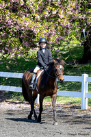 230423-105428 RADNOR 9617C NaimarkPhoto