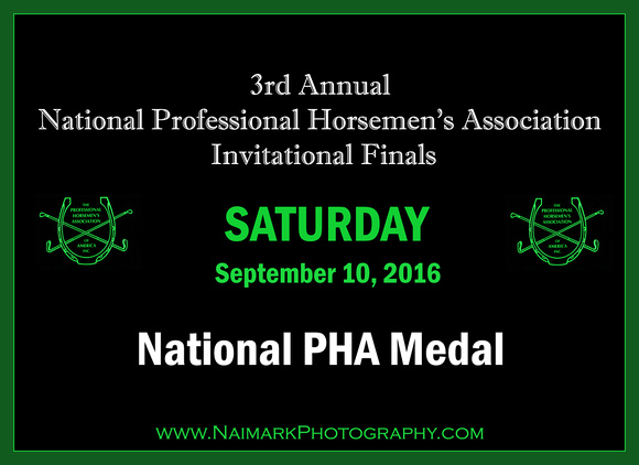 160910 NPHA NaimarkPhoto Sat National PHA Medal