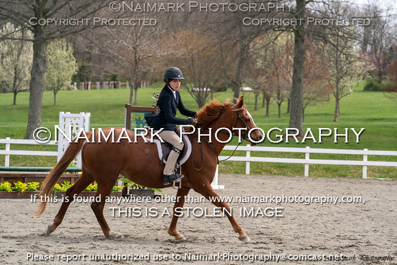 230408-121607 HPNJ 00838T NaimarkPhoto
