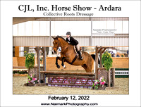 02-12-22 CJL Horse Show @ ARDARA (aka CRD)