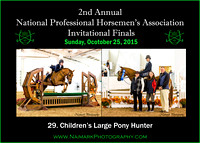 10/25/15 29. Children's Large Pony Hunter