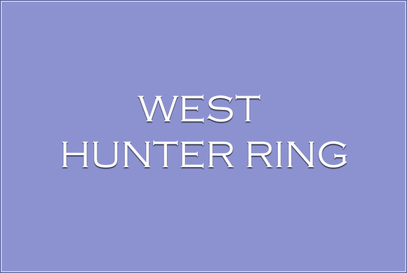 MCHS WEST RING