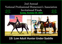 10/25/15 19. Low Adult Hunter Under Saddle & Ch/Res.