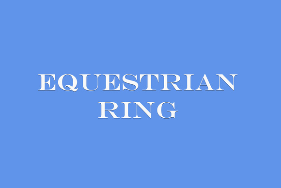 EQUESTRIAN RING BLUE