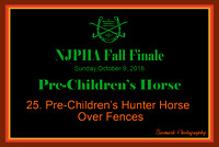 10/09/16 25. Pre-Children's Hunter Horse