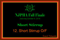 10/08/16 12. Short Stirrup O/F