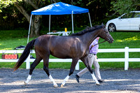 230730-093231 RADNOR 0944B NaimarkPhoto