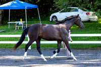 230730-093231 RADNOR 0952B NaimarkPhoto