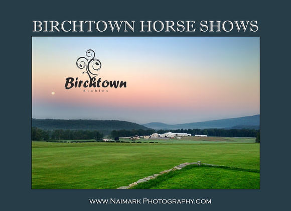 BirchtownHorseShows