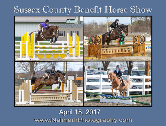 170415 SUSSEX SHOW Main Sign NaimarkPhoto