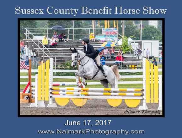 170617 SUSSEX SHOW Main Sign NaimarkPhoto
