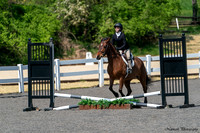 210424-110204 RADNOR 00627S NaimarkPhoto