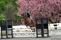 210424-162032 RADNOR 05990S NaimarkPhoto