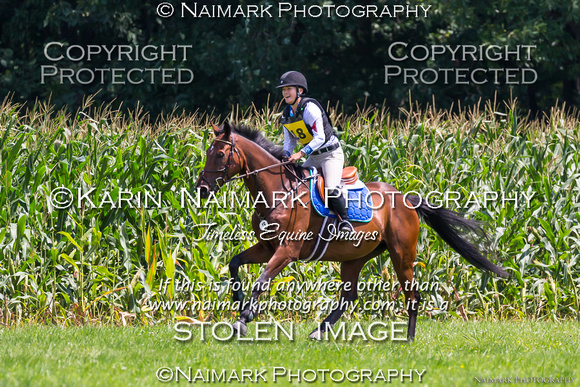 170813-131353 BCHP 9100K NaimarkPhoto