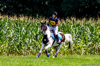 170813-130758 BCHP 8935K NaimarkPhoto