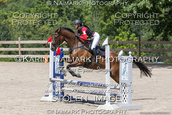 170813-130744 BCHP 1716S NaimarkPhoto