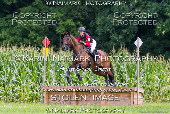170813-133623 BCHP 9484K NaimarkPhoto