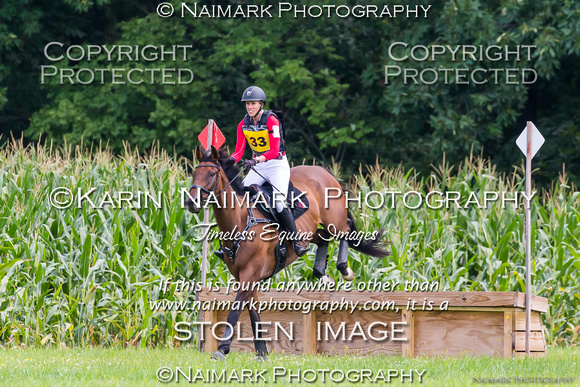 170813-133623 BCHP 9487K NaimarkPhoto