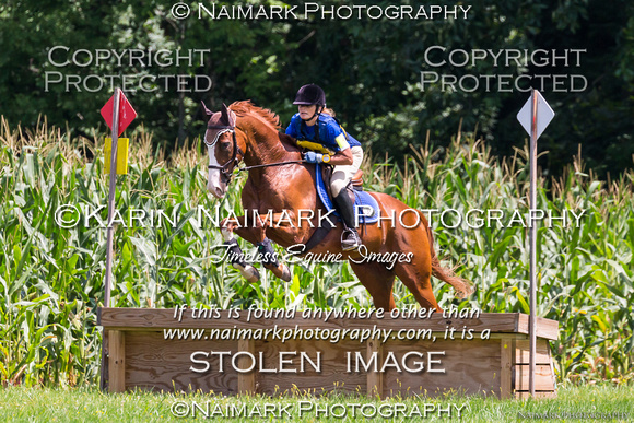 170813-133930 BCHP 9548Kcc NaimarkPhoto