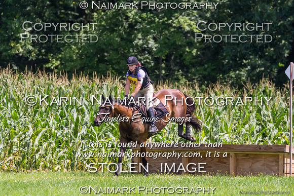 170813-134144 BCHP 9577K NaimarkPhoto