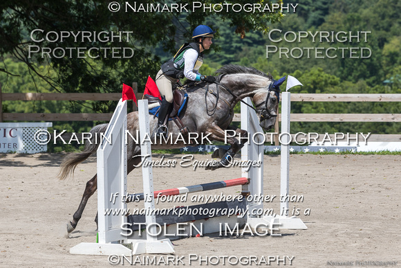 170813-134335 BCHP 1787S NaimarkPhoto