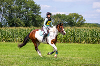170813-141933 BCHP 9788K NaimarkPhoto