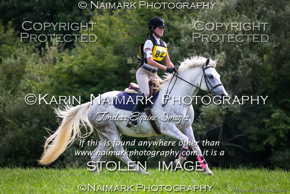 170813-154644 BCHP 0565K NaimarkPhoto