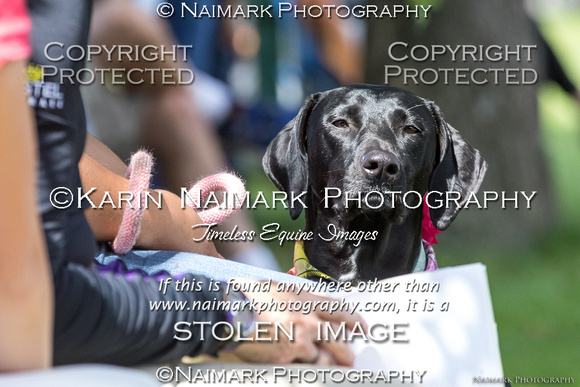 170813-105721 BCHP 1371S NaimarkPhoto
