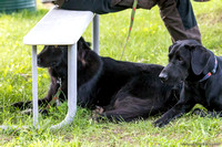 170813-152645 BCHP 2305S NaimarkPhoto